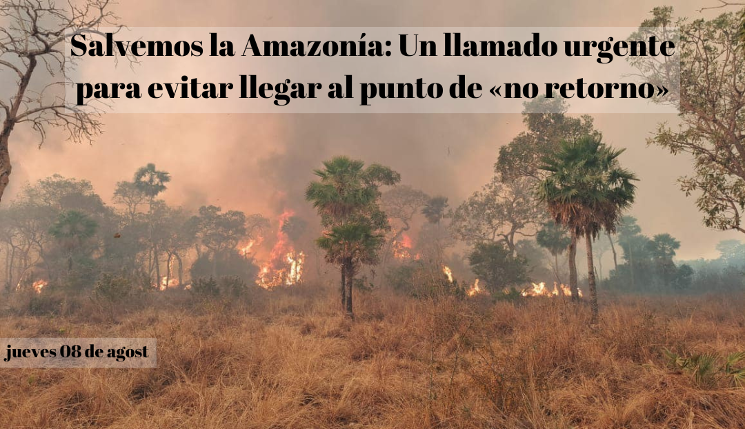 Salvemos la Amazonía: Un llamado urgente para evitar llegar al punto de «no retorno»