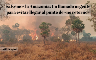 Salvemos la Amazonía: Un llamado urgente para evitar llegar al punto de «no retorno»