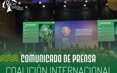 COALICIÓN INTERNACIONAL POR LA DEFENSA,CONSERVACIÓN, PROTECCIÓN DE LOS TERRITORIOS, DEL MEDIO AMBIENTE, USO DE LA TIERRA Y CAMBIO CLIMÁTICO DE LOS PUEBLOS AFRODESCENDIENTES DE AMERICA LATINA Y EL CARIBE