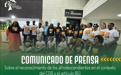 Sobre el reconocimiento de los afrodescendientes en el contexto del CDB y el artículo 8(j)