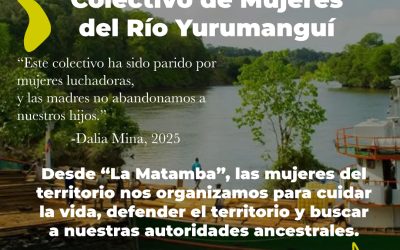 PRONUNCIAMIENTO PÚBLICO