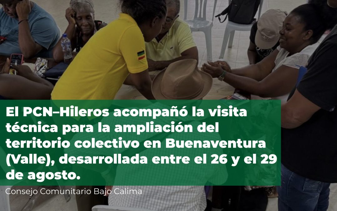 Consejo Comunitario de la Cuenca Baja del Río Calima