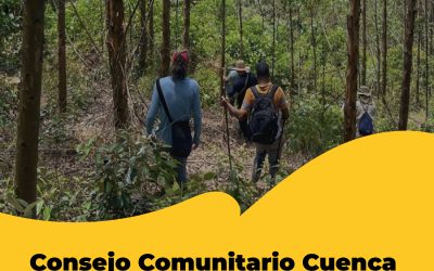 Consejo Comunitario Cuenca del Río Cauca y Microcuenca de los Ríos Teta y Mazamorrero: