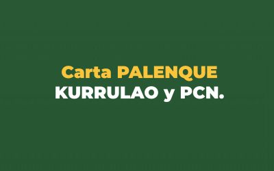 Carta Palenque Kurrulao y PCN