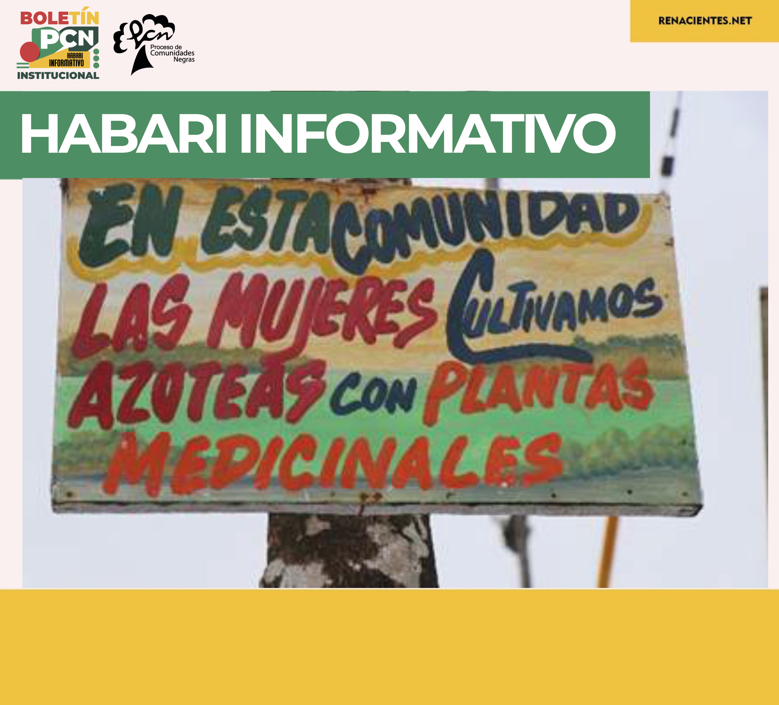 Letrero pintado a mano que dice: "En esta comunidad las mujeres cultivamos azoteas con plantas medicinales".