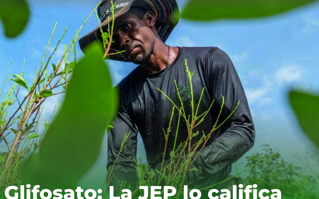 Glifosato en Nariño: La JEP lo califica como una forma de violencia contra pueblos étnicos