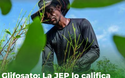 Glifosato en Nariño: La JEP lo califica como una forma de violencia contra pueblos étnicos