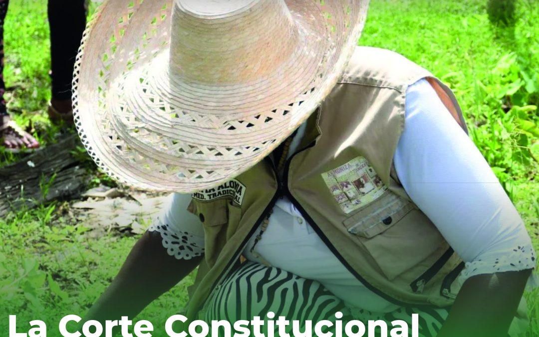 La Corte Constitucional reconoce los manglares como propiedad colectiva