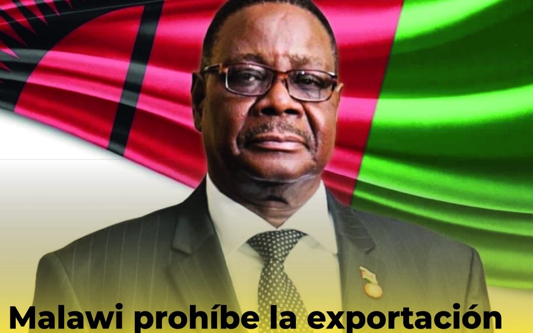 Malawi prohíbe la exportación de minerales en bruto