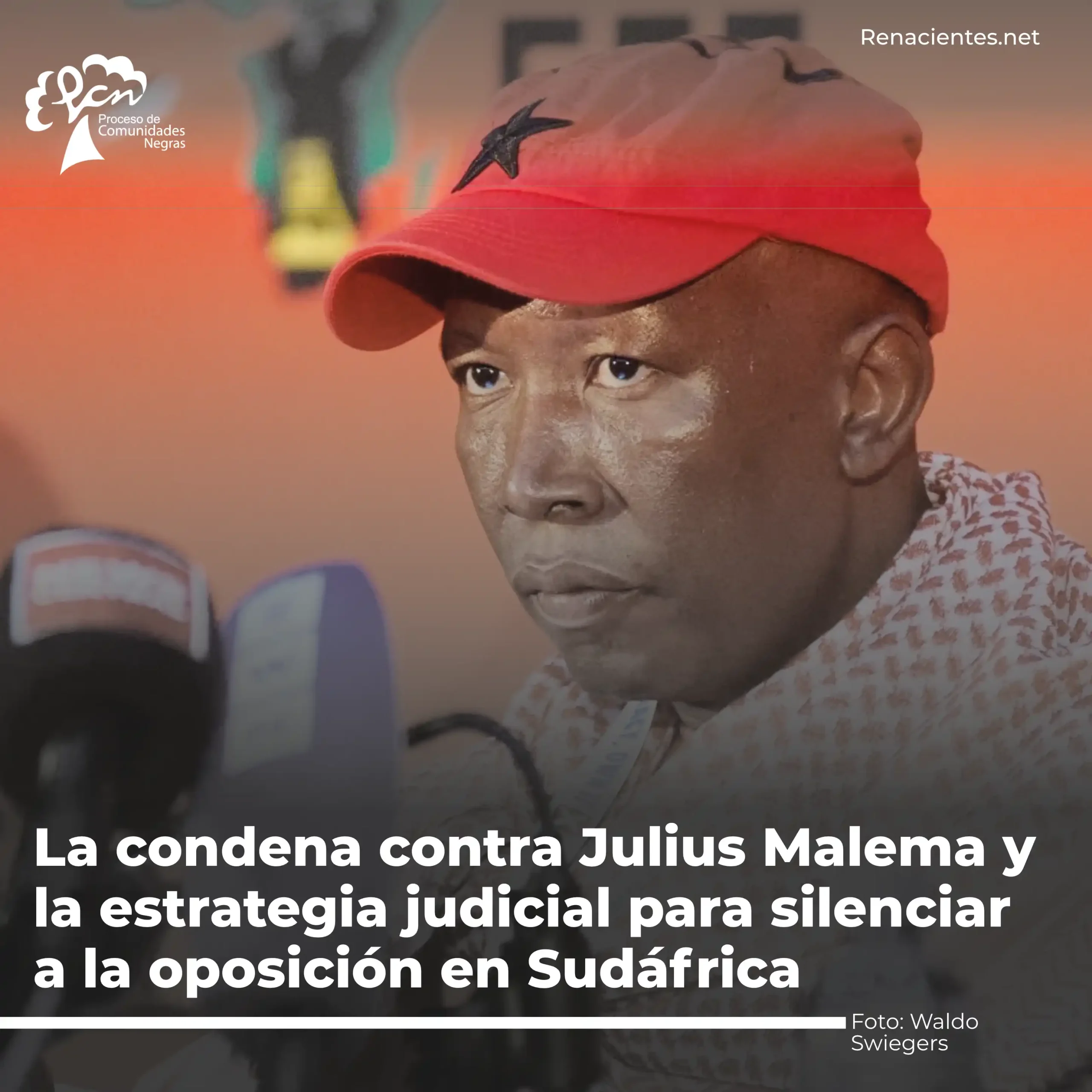 malema1