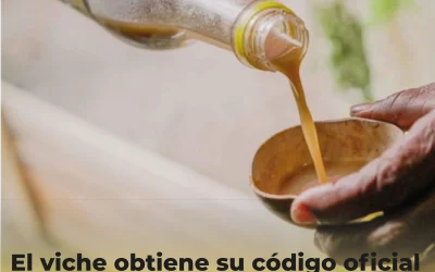 El viche obtiene su código oficial y protege la autonomía de los productores del Pacífico