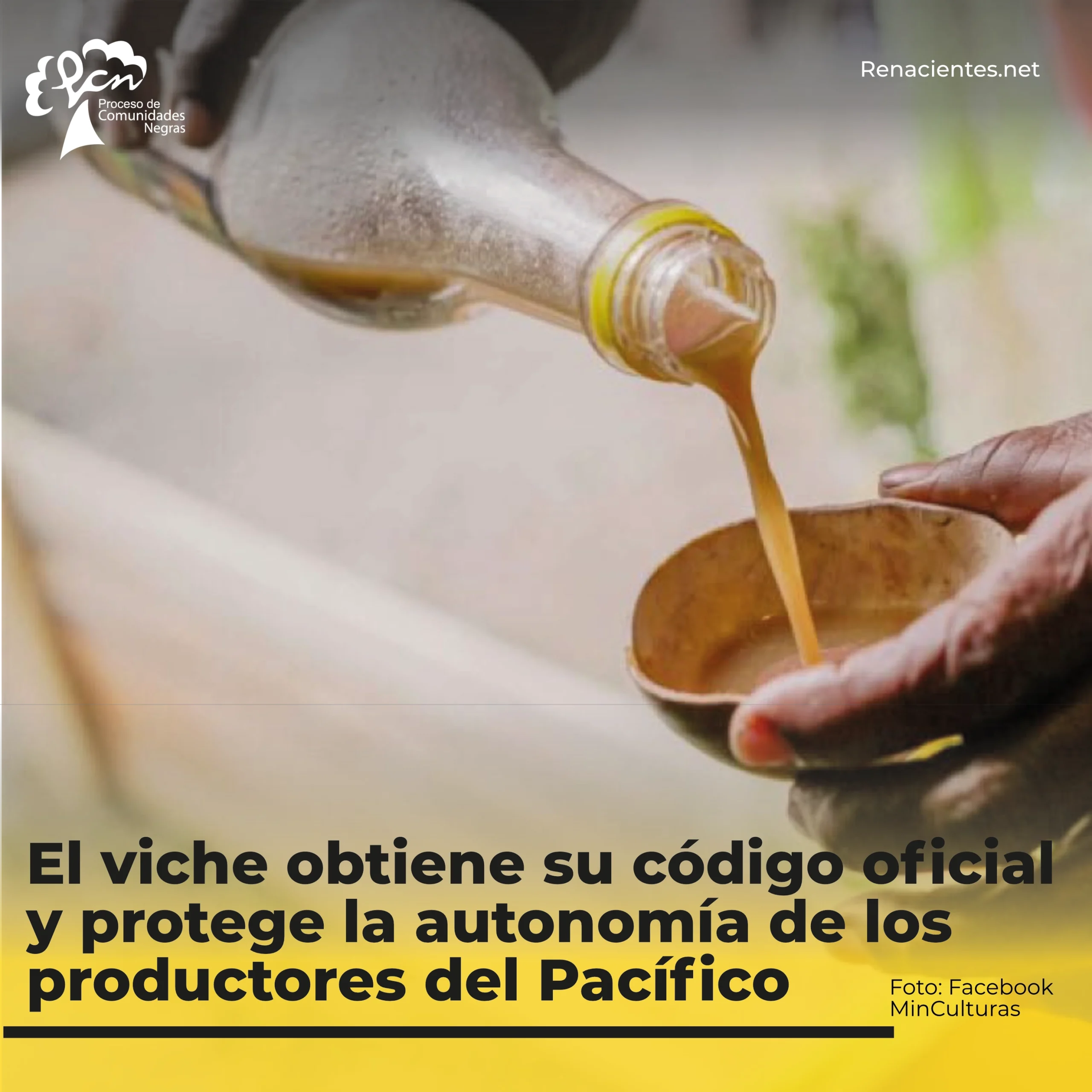 vichecodigo1
