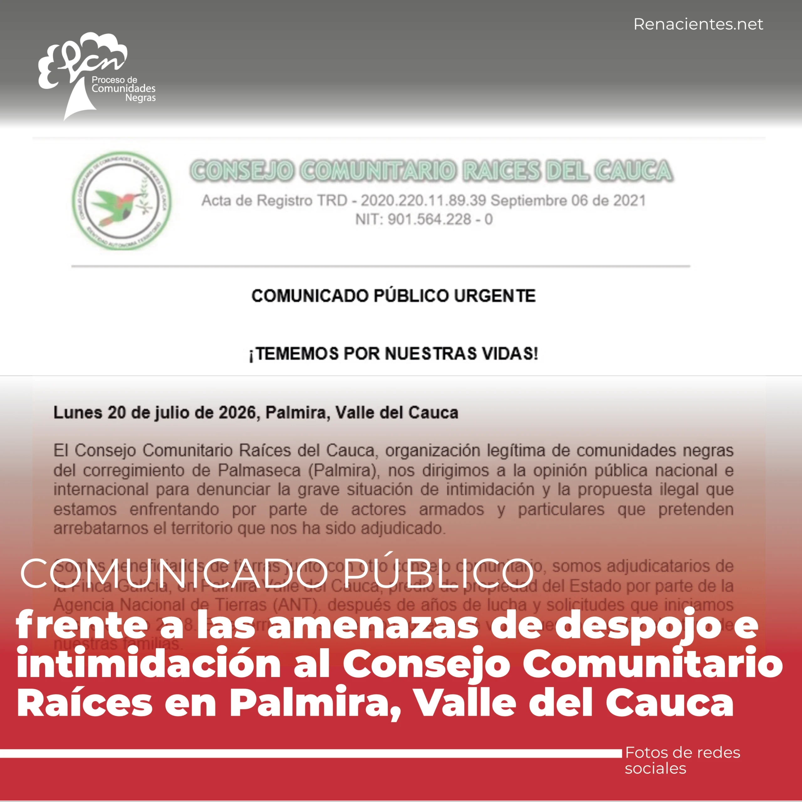 palmr1