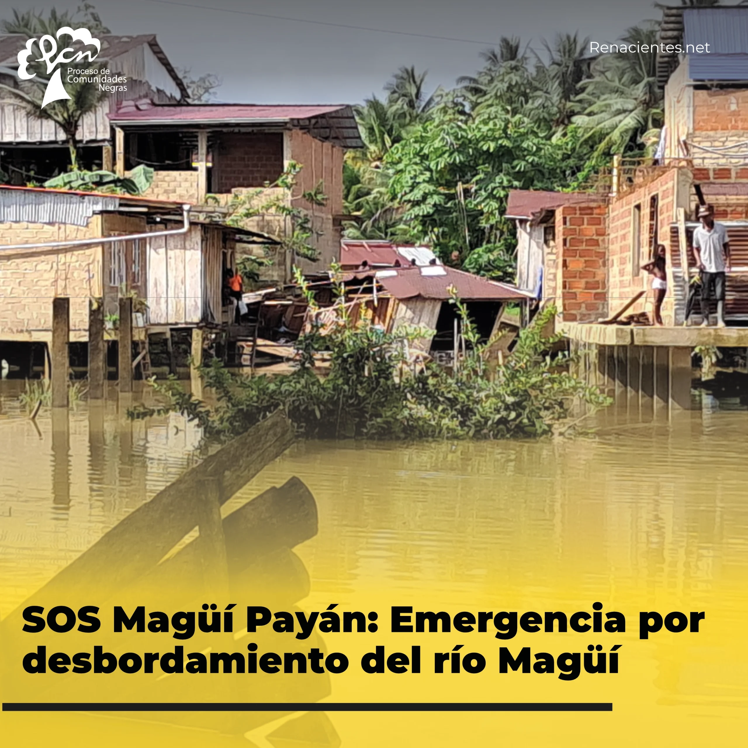 magui1