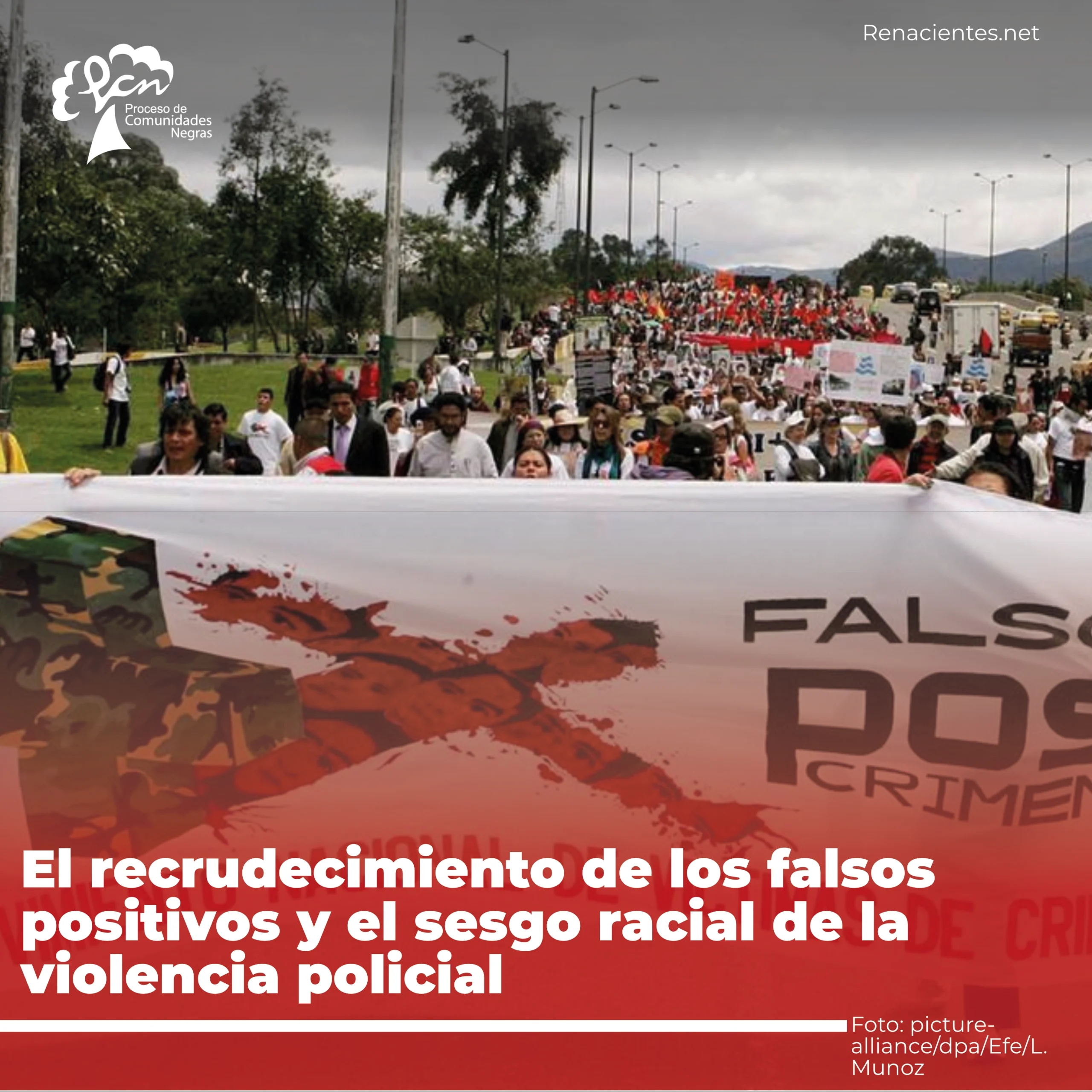 falsop1