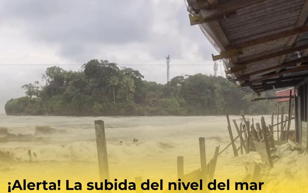 ¡Alerta! La subida del nivel del mar profundiza la vulnerabilidad en el Pacífico colombiano 