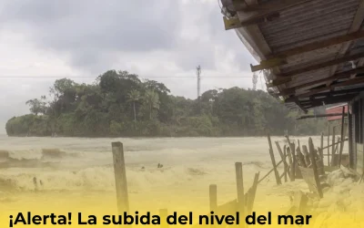¡Alerta! La subida del nivel del mar profundiza la vulnerabilidad en el Pacífico colombiano 
