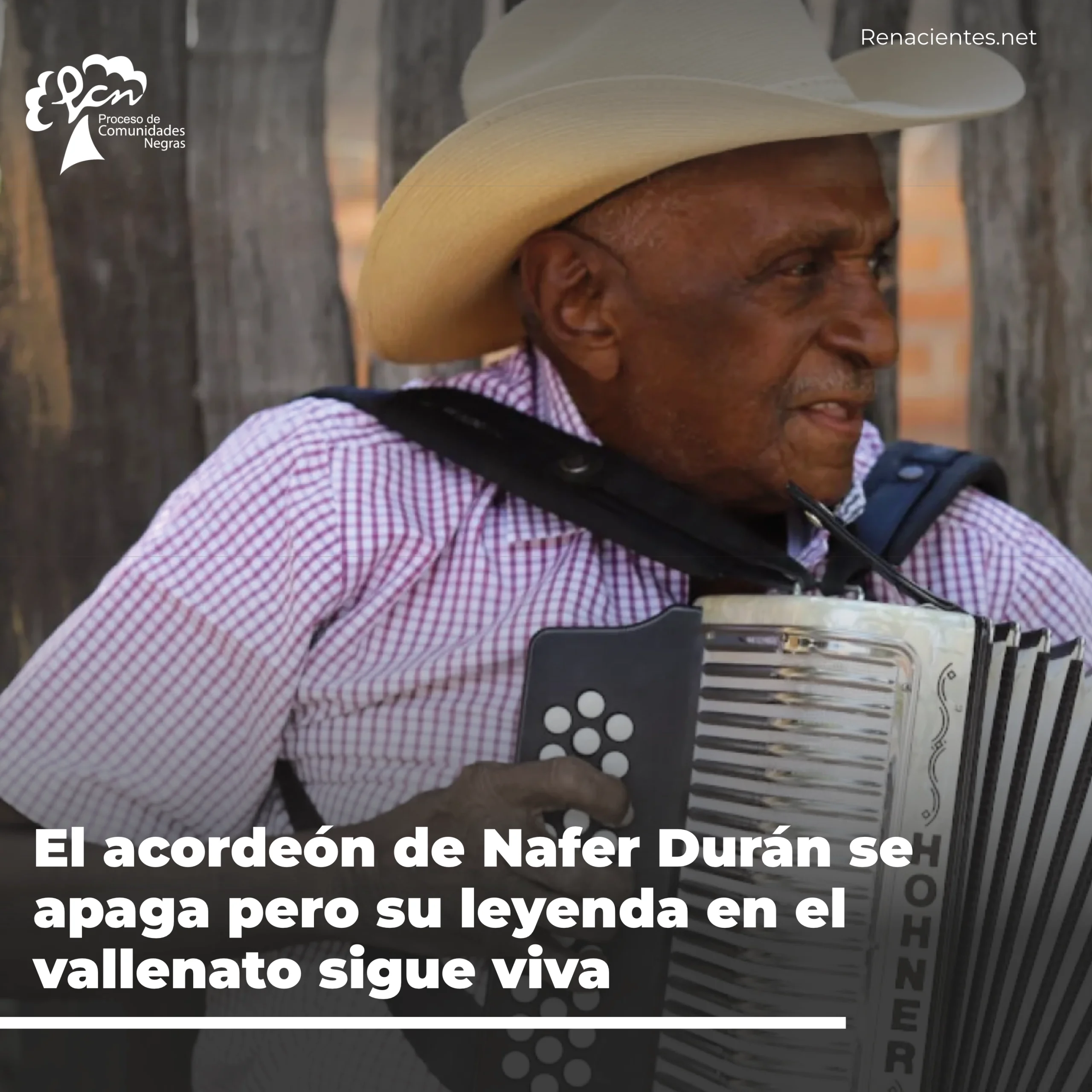 vallena1